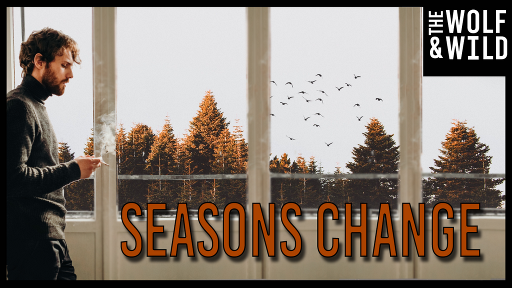 Seasons Change - Digital Track - Royalty Free Music