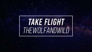 Take Flight - Digital Track - Royalty Free Music