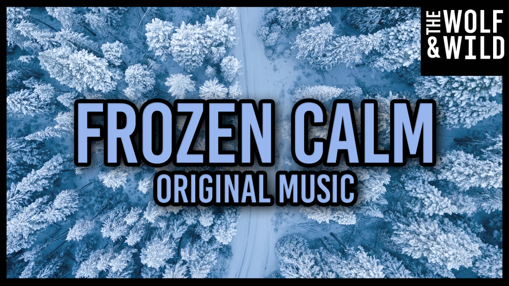 Frozen Calm - Digital Track - Royalty Free Music